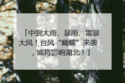 中到大雨、暴雨、雷暴大风！台风“蝴蝶”来袭，或将影响湖北！