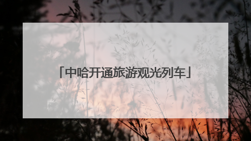 中哈开通旅游观光列车
