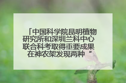 中国科学院昆明植物研究所和深圳兰科中心联合科考取得重要成果 在神农架发现两种“国保”级兰花