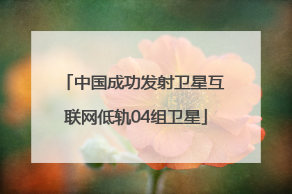 中国成功发射卫星互联网低轨04组卫星