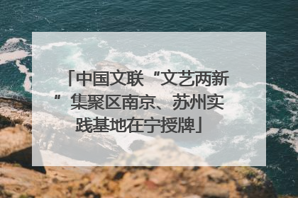 中国文联“文艺两新”集聚区南京、苏州实践基地在宁授牌