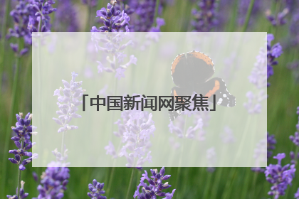 中国新闻网聚焦