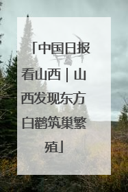 中国日报看山西｜山西发现东方白鹳筑巢繁殖