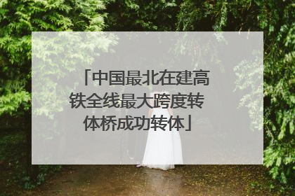 中国最北在建高铁全线最大跨度转体桥成功转体