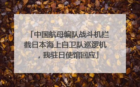 中国航母编队战斗机拦截日本海上自卫队巡逻机，我驻日使馆回应