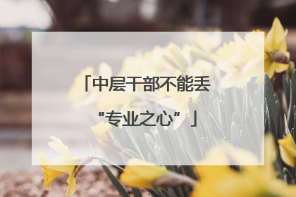 中层干部不能丢“专业之心”