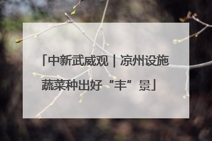 中新武威观｜凉州设施蔬菜种出好“丰”景