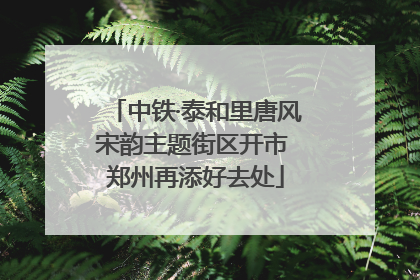 中铁·泰和里唐风宋韵主题街区开市 郑州再添好去处
