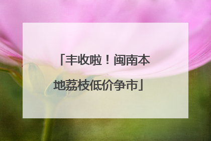 丰收啦！闽南本地荔枝低价争市