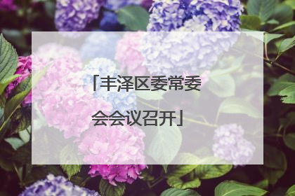 丰泽区委常委会会议召开