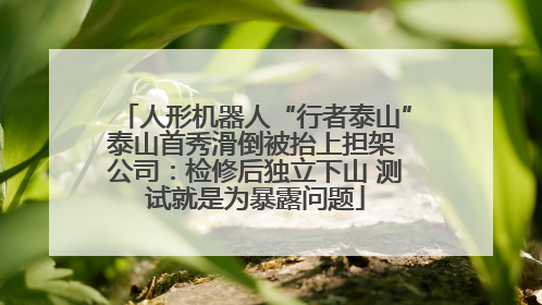 人形机器人“行者泰山”泰山首秀滑倒被抬上担架 公司：检修后独立下山 测试就是为暴露问题