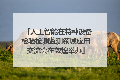 人工智能在特种设备检验检测监测领域应用交流会在敦煌举办