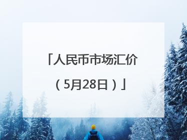 人民币市场汇价（5月28日）