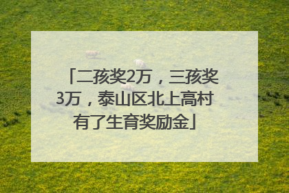 二孩奖2万，三孩奖3万，泰山区北上高村有了生育奖励金