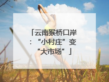 云南猴桥口岸：“小村庄”变“大市场”