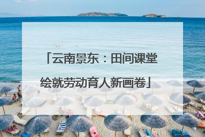 云南景东：田间课堂绘就劳动育人新画卷