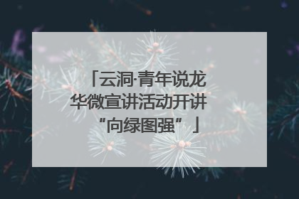 云洞·青年说龙华微宣讲活动开讲“向绿图强”
