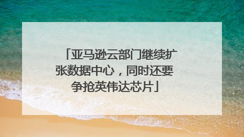 亚马逊云部门继续扩张数据中心，同时还要争抢英伟达芯片