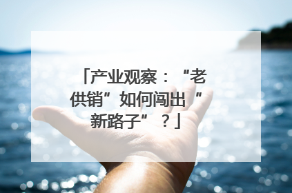 产业观察：“老供销”如何闯出“新路子”？