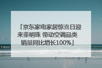 京东家电家居惊喜日迎来董明珠 带动空调品类销量同比增长100%