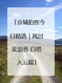 京城拍客今日精选｜风过麦浪香 白塔入云端