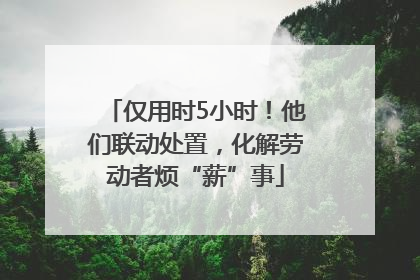 仅用时5小时！他们联动处置，化解劳动者烦“薪”事