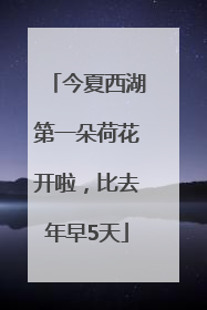 今夏西湖第一朵荷花开啦，比去年早5天