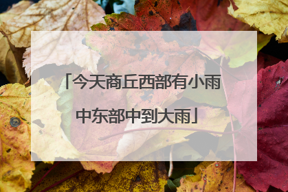 今天商丘西部有小雨 中东部中到大雨