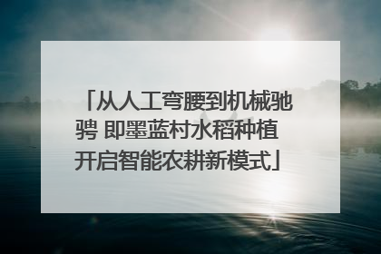 从人工弯腰到机械驰骋 即墨蓝村水稻种植开启智能农耕新模式