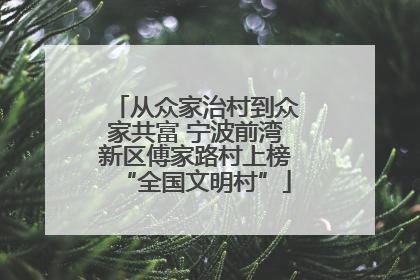 从众家治村到众家共富 宁波前湾新区傅家路村上榜“全国文明村”
