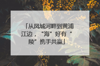 从凤城河畔到黄浦江边，“海”好有“陵”携手共赢