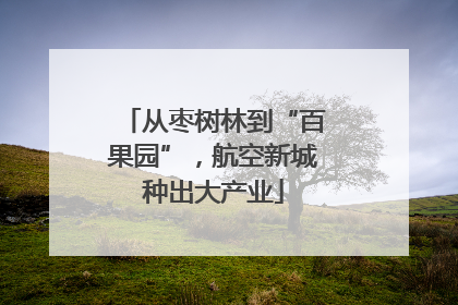 从枣树林到“百果园”，航空新城种出大产业