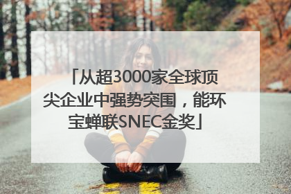 从超3000家全球顶尖企业中强势突围，能环宝蝉联SNEC金奖