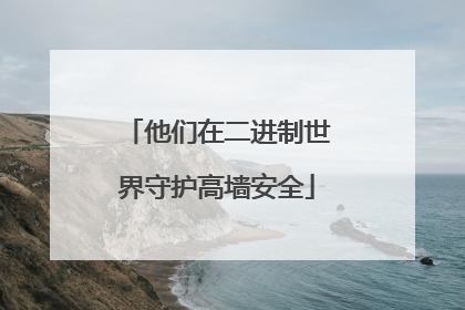 他们在二进制世界守护高墙安全