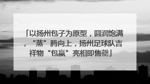 以扬州包子为原型，圆润饱满，“蒸”腾向上，扬州足球队吉祥物“包赢”亮相即售罄