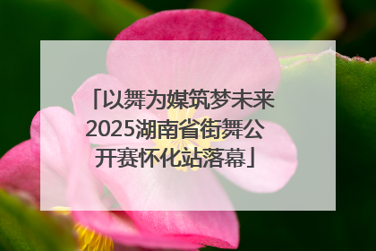 以舞为媒筑梦未来 2025湖南省街舞公开赛怀化站落幕