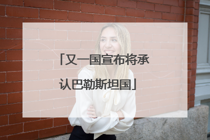 又一国宣布将承认巴勒斯坦国