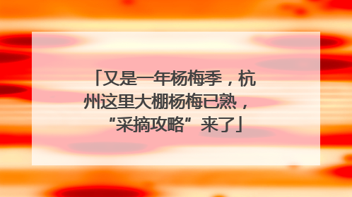又是一年杨梅季，杭州这里大棚杨梅已熟，“采摘攻略”来了