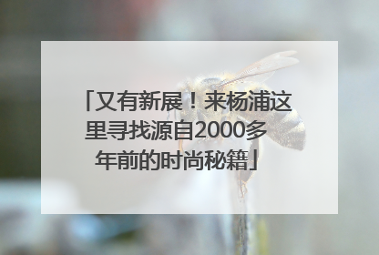 又有新展！来杨浦这里寻找源自2000多年前的时尚秘籍