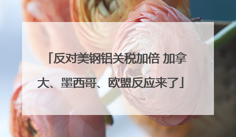 反对美钢铝关税加倍 加拿大、墨西哥、欧盟反应来了