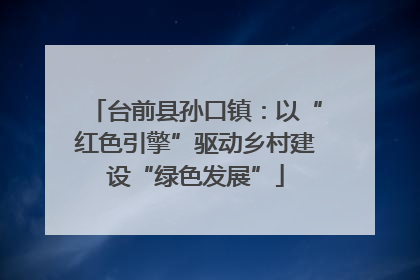 台前县孙口镇：以“红色引擎”驱动乡村建设“绿色发展”