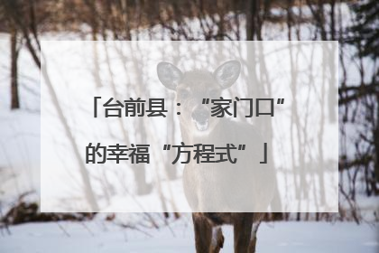 台前县：“家门口”的幸福“方程式”