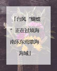 台风“蝴蝶”正在过境海南乐东莺歌海海域