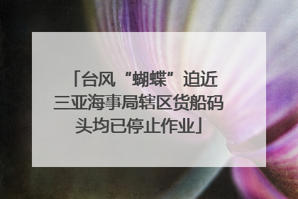 台风“蝴蝶”迫近 三亚海事局辖区货船码头均已停止作业