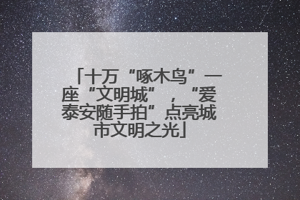 十万“啄木鸟”一座“文明城”，“爱泰安随手拍”点亮城市文明之光