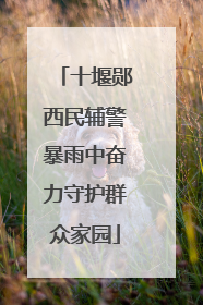 十堰郧西民辅警暴雨中奋力守护群众家园