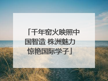 千年窑火映照中国智造 株洲魅力惊艳国际学子