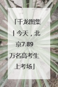 千龙图集丨今天，北京7.89万名高考生上考场