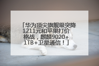 华为顶尖旗舰级突降1211元和苹果打价格战，麒麟9020+1TB+卫星通信！
