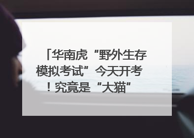 华南虎“野外生存模拟考试”今天开考！究竟是“大猫” 还是顶级猎食者？
